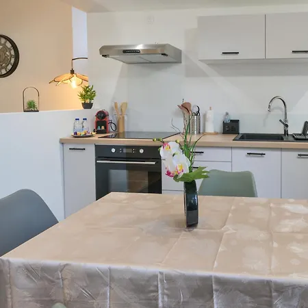 L'odyssee Des Pyrenees - Clim - Parking Prive * Pau