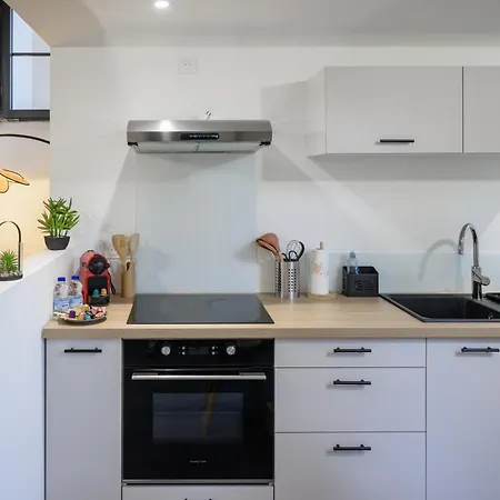 Apartamento L'odyssée Des Pyrénées - Clim - Parking Privé Pau