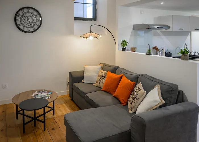Apartment Au Coeur De - Clim Et Parking - L'odyssee Pau