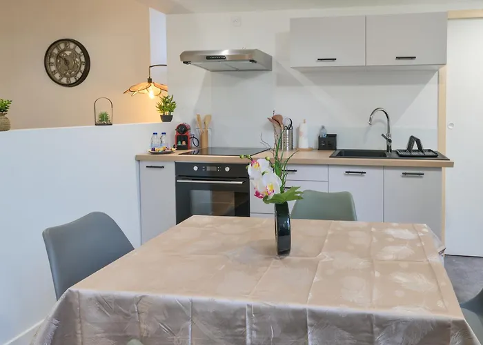 L'odyssee Des Pyrenees - Clim - Parking Prive * Pau