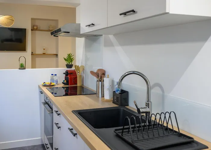 L'odyssee Des Pyrenees - Clim - Parking Prive Appartement Pau