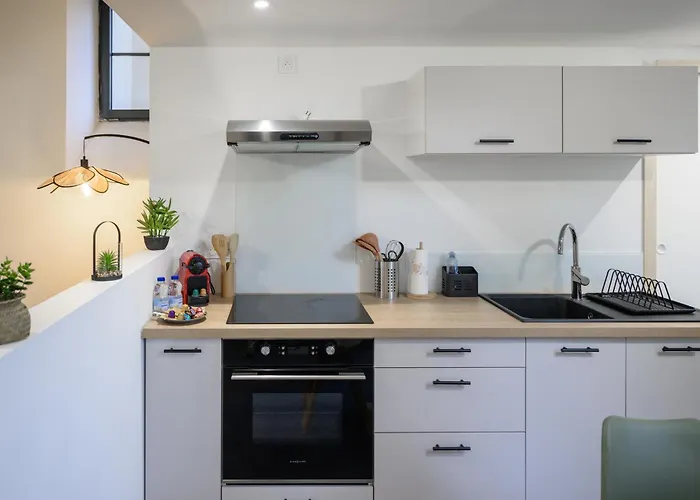 Διαμέρισμα L'odyssee Des Pyrenees - Clim - Parking Prive Pau