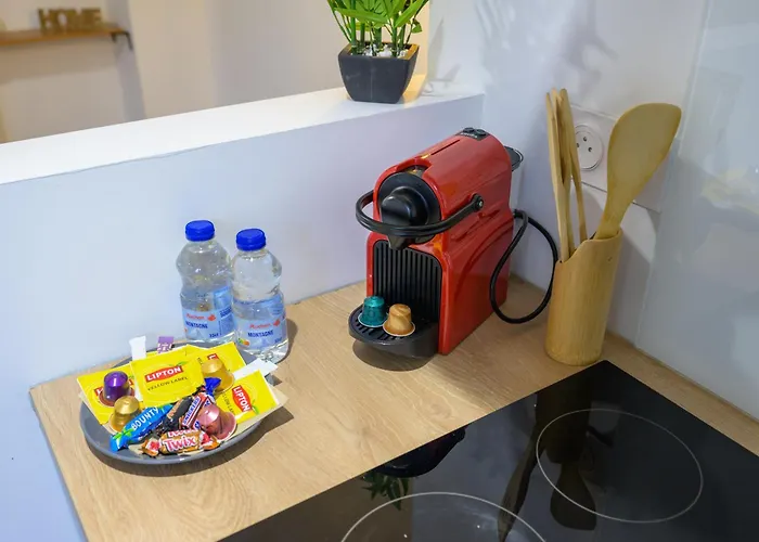 Appartement L'odyssee Des Pyrenees - Clim - Parking Prive