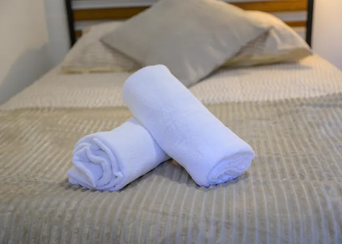 L'odyssee Des Pyrenees - Clim - Parking Prive Διαμέρισμα Pau