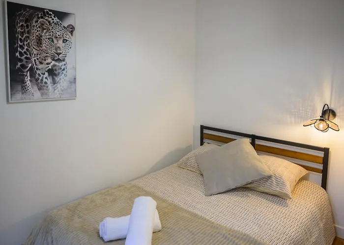 Au Coeur De - Clim Et Parking - L'odyssee Apartment *