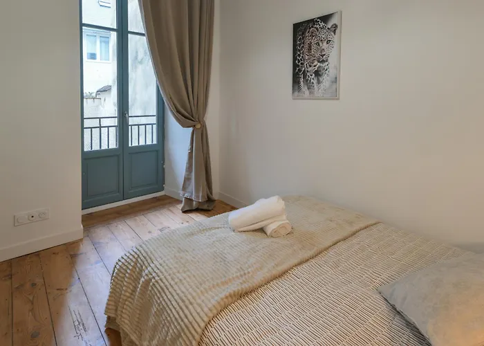 Apartment Au Coeur De - Clim Et Parking - L'odyssee Pau